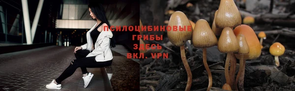 ALPHA-PVP Армянск