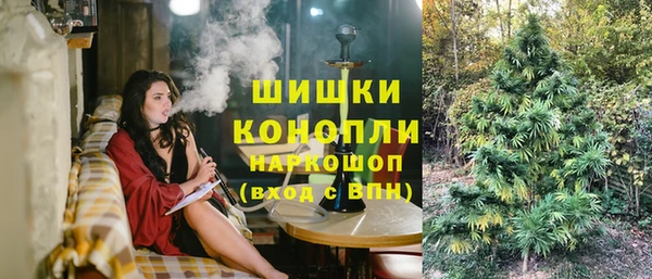 крисы Арсеньев