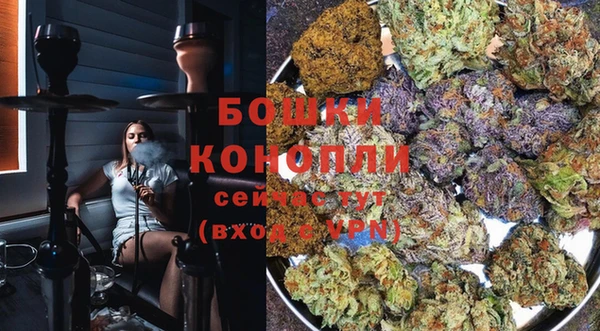 крисы Арсеньев