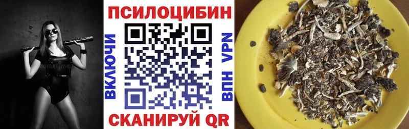 купить наркоту Порхов Галлюциногенные грибы MAGIC MUSHROOMS